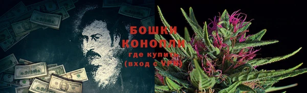 ПСИЛОЦИБИНОВЫЕ ГРИБЫ Абдулино