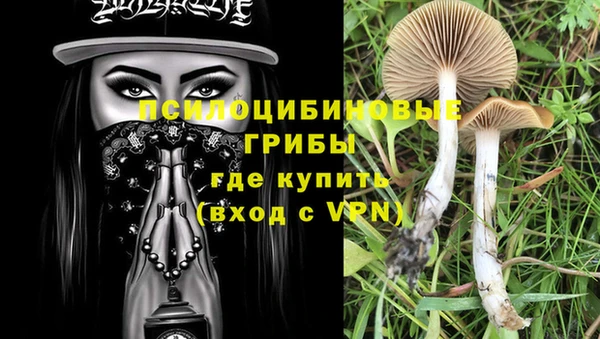 винт Абинск