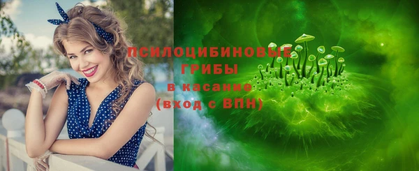 ПСИЛОЦИБИНОВЫЕ ГРИБЫ Абдулино