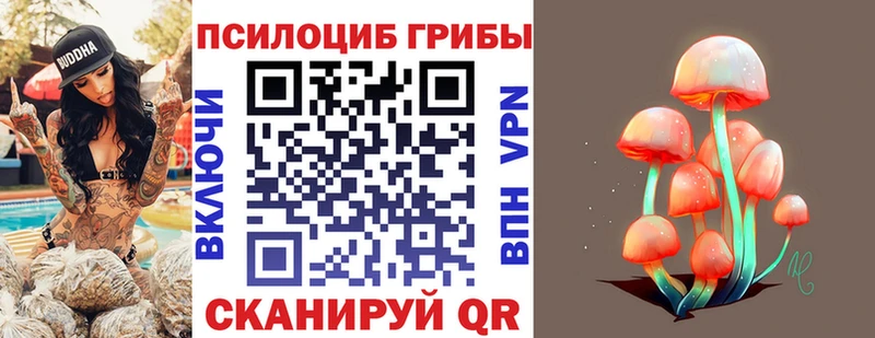 ОМГ ОМГ вход  закладка  Орск  Псилоцибиновые грибы Psilocybine cubensis 
