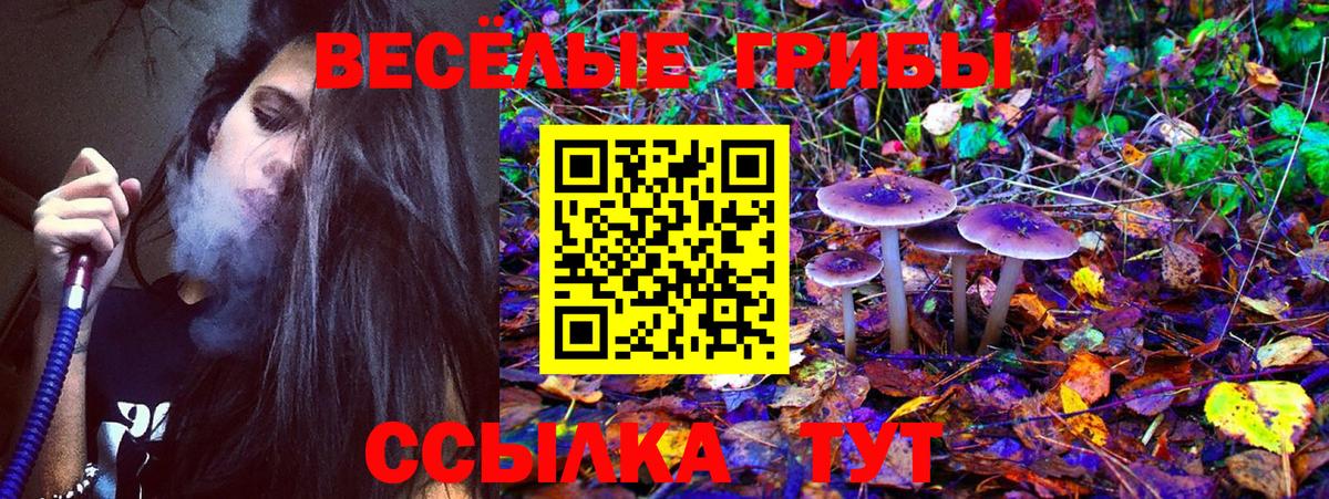 Галлюциногенные грибы MAGIC MUSHROOMS  Псилоцибиновые грибы Magic Shrooms  Вход с VPN  Орск 